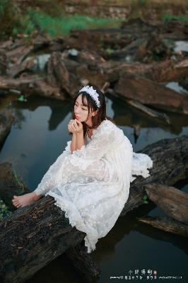 琅琊榜之风起长林